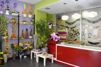 Flores «La Camelia»