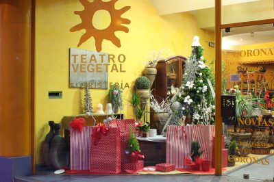 Floristería Teatro Vegetal